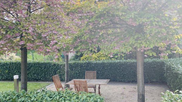 Hochzeitslocation Restaurant Mahl und Werk