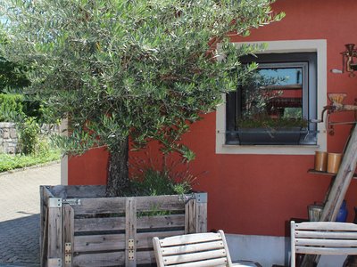 Romantische Scheune im Weingut Leo Sauer