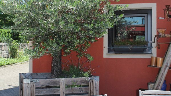 Hochzeitslocation Romantische Scheune im Weingut Leo Sauer