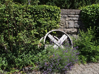 Romantische Scheune im Weingut Leo Sauer