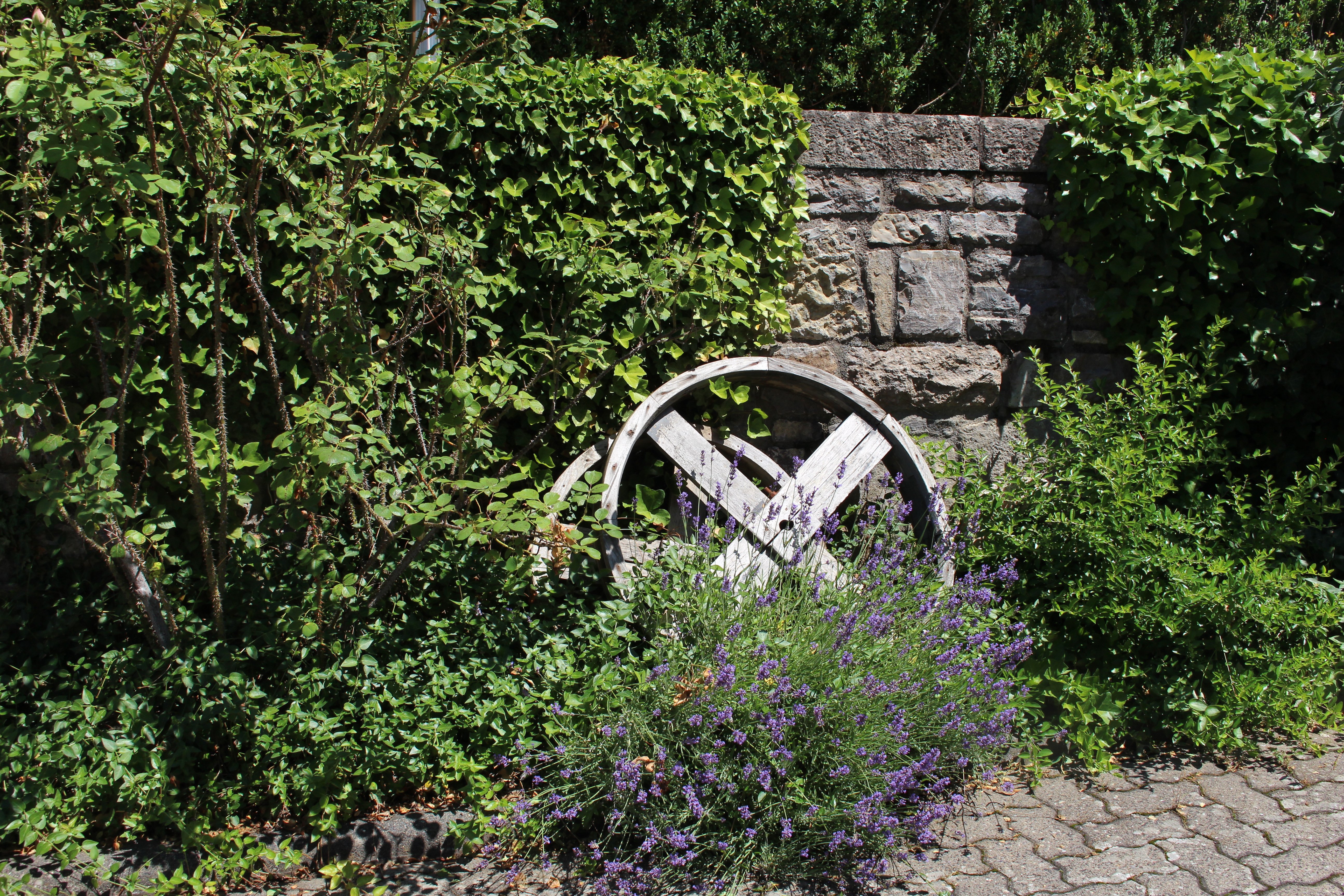 Hochzeitslocation Romantische Scheune im Weingut Leo Sauer