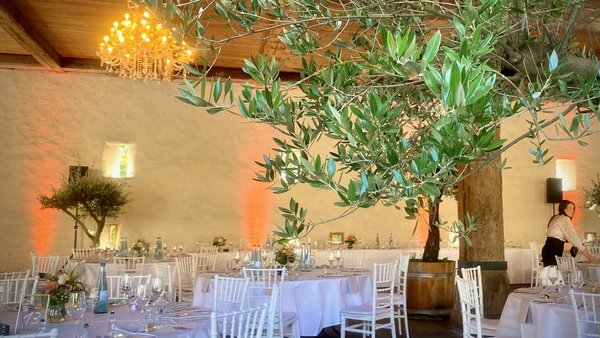 Hochzeitslocation Schloss Beuggen