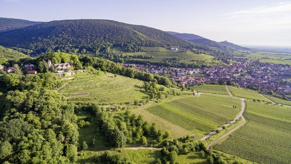 Hochzeitslocation Schloss Kropsburg