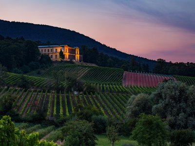 Schloss Villa Ludwigshöhe