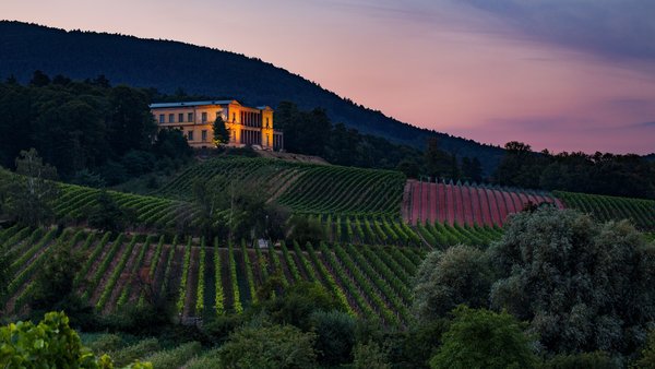 Hochzeitslocation Schloss Villa Ludwigshöhe