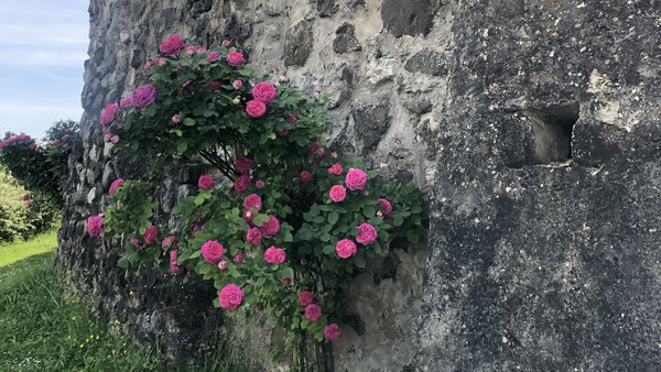 Hochzeitslocation Schloss Weiterdingen