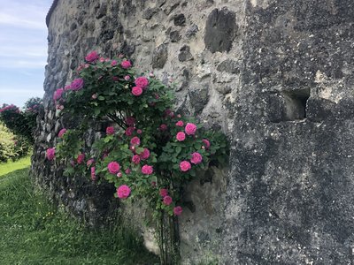 Schloss Weiterdingen