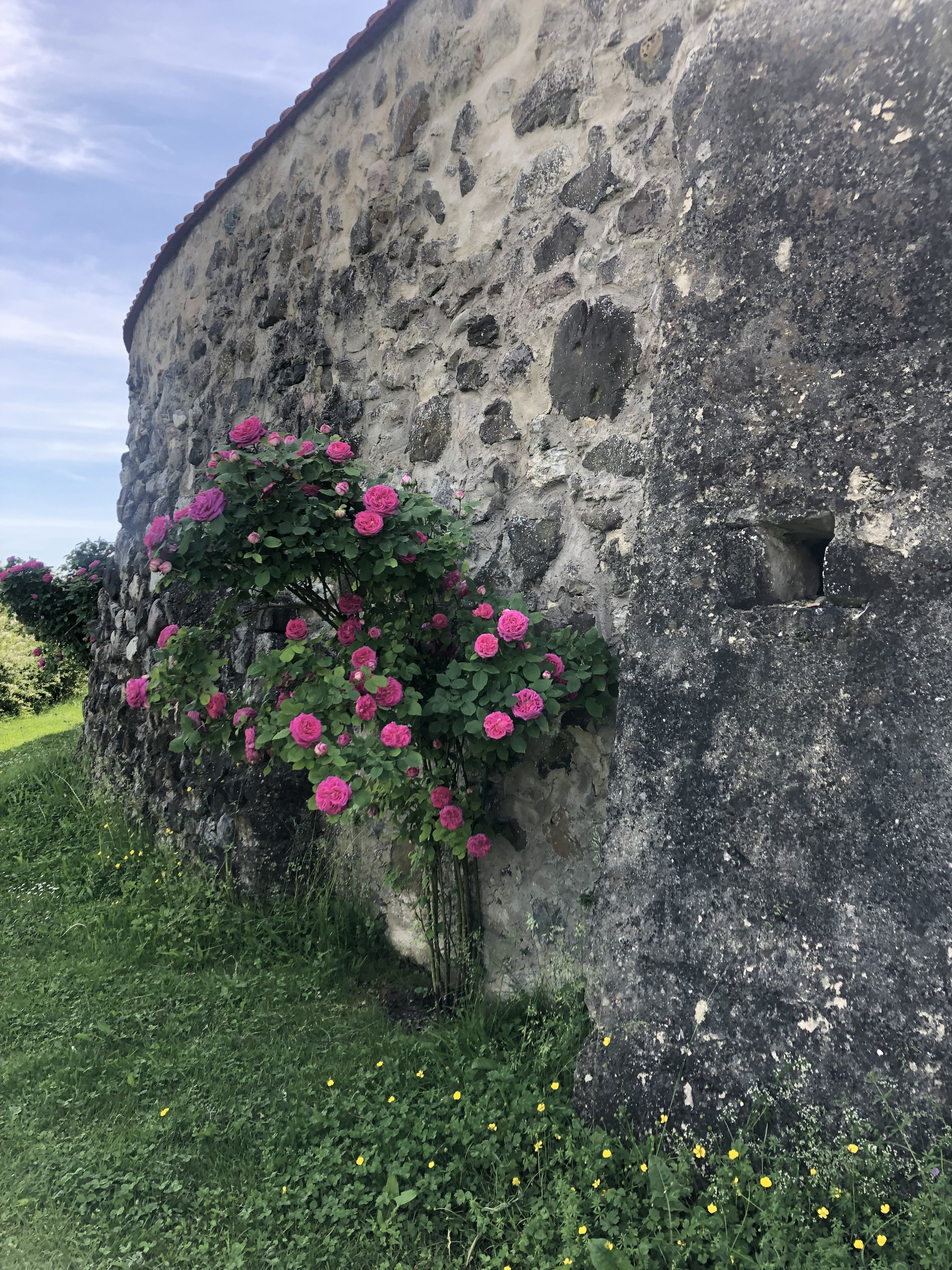Hochzeitslocation Schloss Weiterdingen