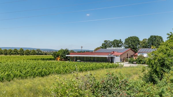 Hochzeitslocation Schreiber's Vinothek