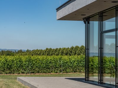 Schreiber's Vinothek