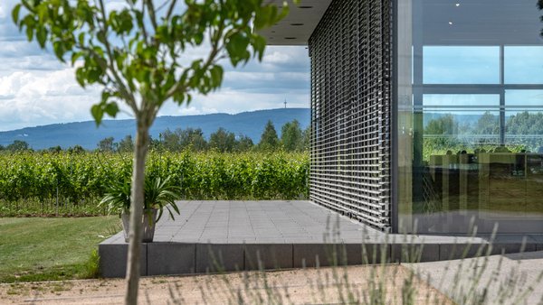 Hochzeitslocation Schreiber's Vinothek