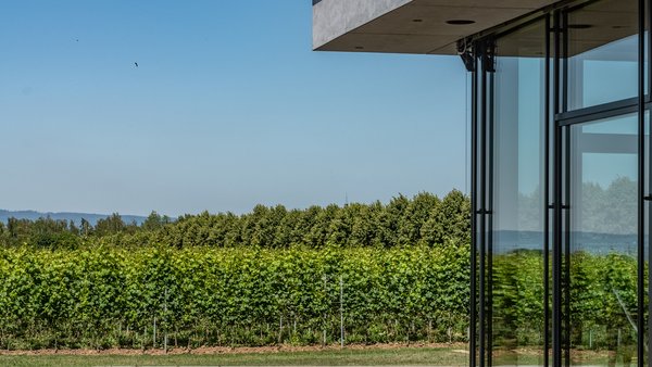 Hochzeitslocation Schreiber's Vinothek