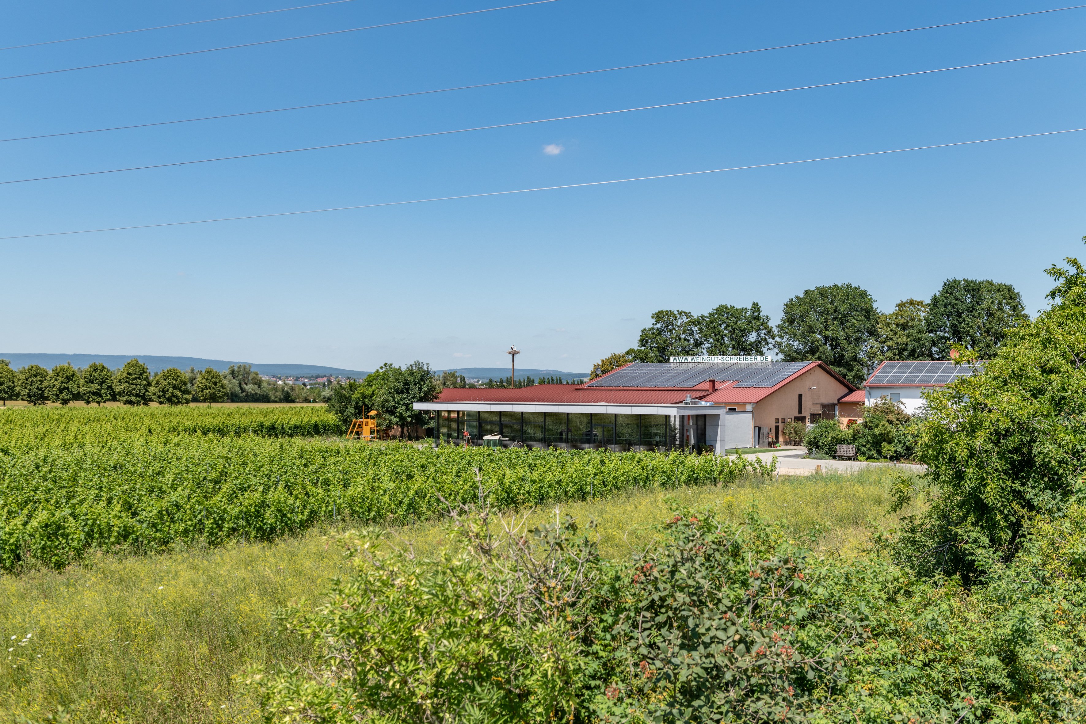 Hochzeitslocation Schreiber's Vinothek