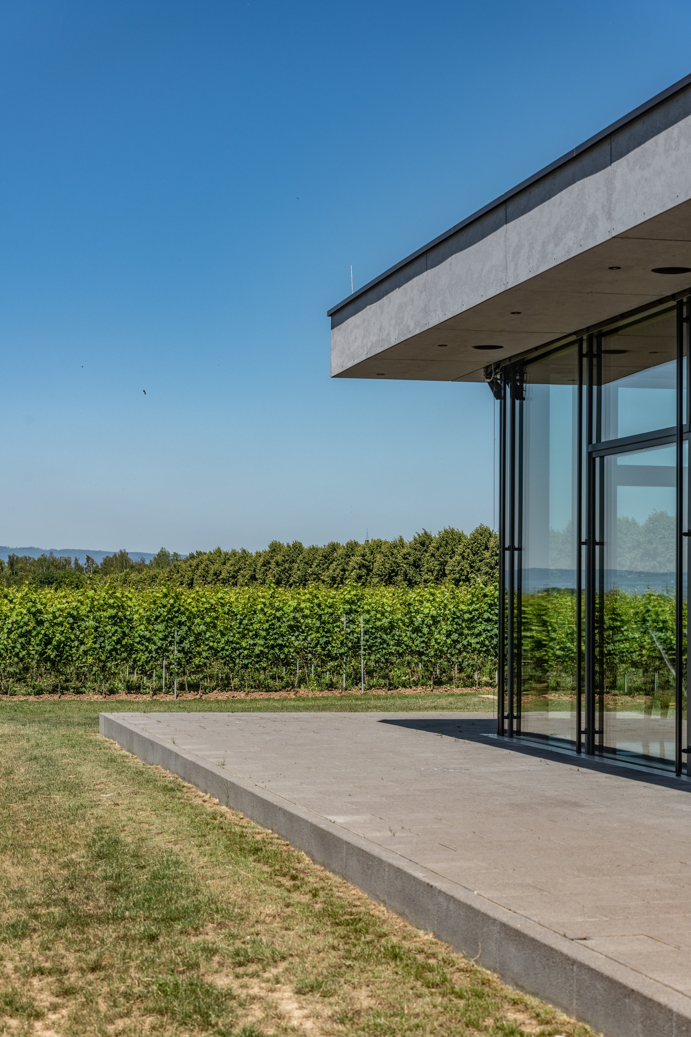 Hochzeitslocation Schreiber's Vinothek