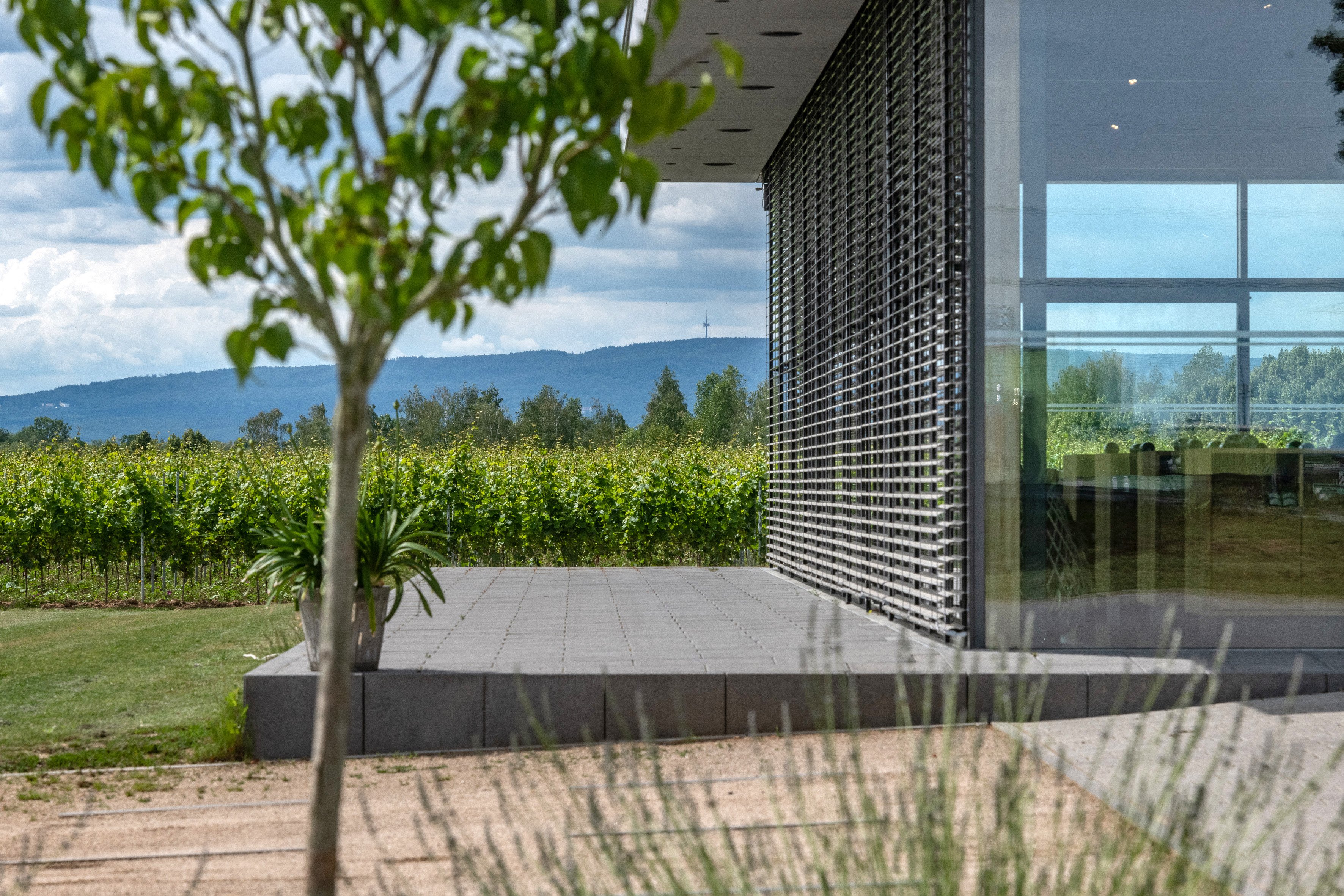 Hochzeitslocation Schreiber's Vinothek