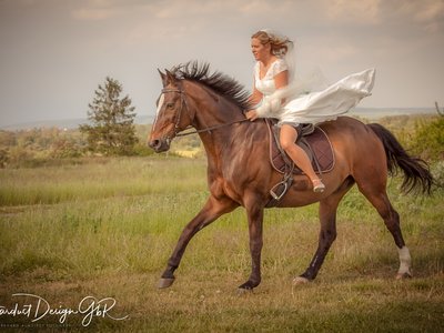 Hochzeitsfotograf Stardust Design GbR