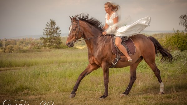 Hochzeitsfotograf Stardust Design GbR