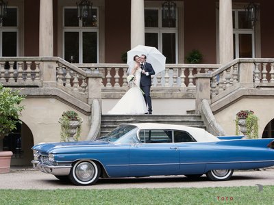 Steven Kauffeld Photography