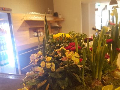 Tanzzentrum Weißhausstraße