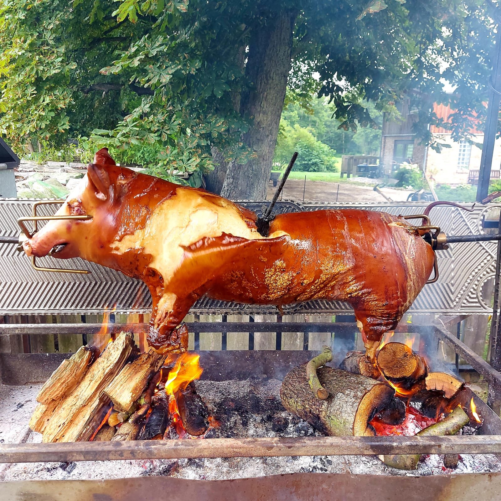 Hochzeitslocation Vierburg Bützow