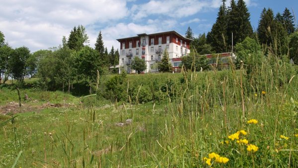 Hochzeitslocation Waldhotel am Notschreipass