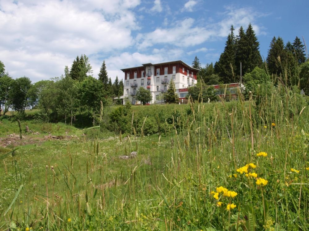 Hochzeitslocation Waldhotel am Notschreipass