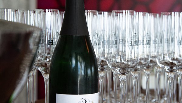 Hochzeitslocation Weingut Hauer