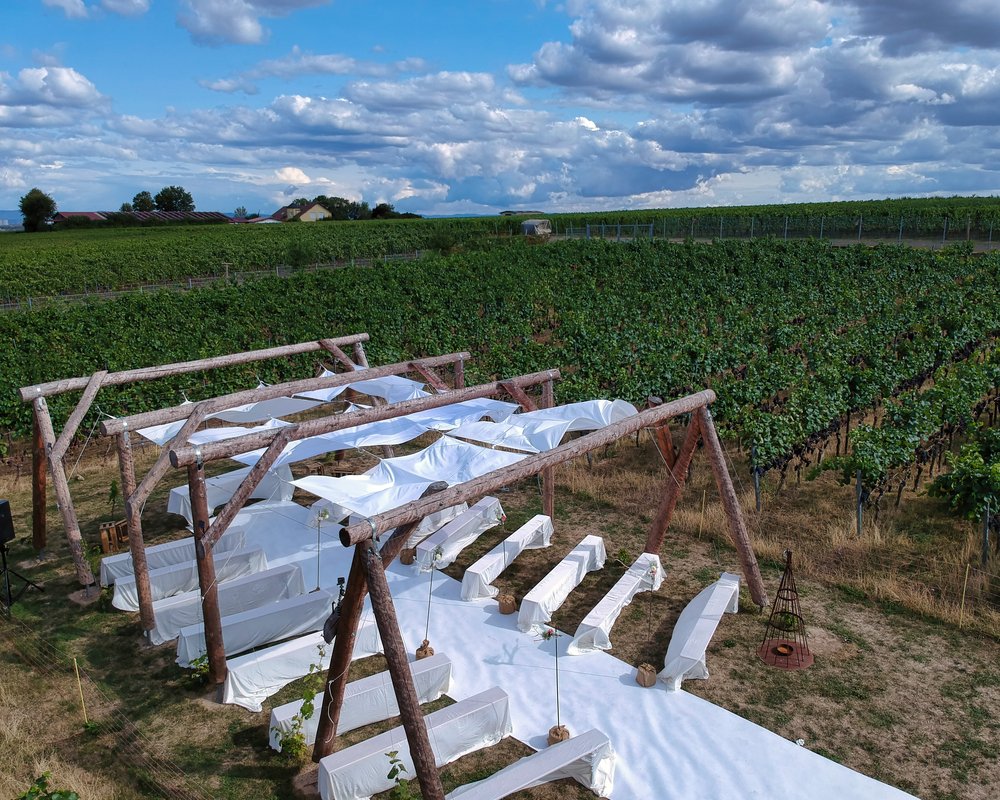 Romantische freie Trauung mitten in den Weinbergen beim Weingut Jean Buscher in Bechtheim, Rheinhessen.