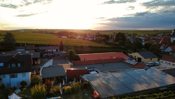 Hochzeitslocation Weingut Jean Buscher