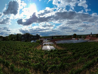 Weingut Jean Buscher