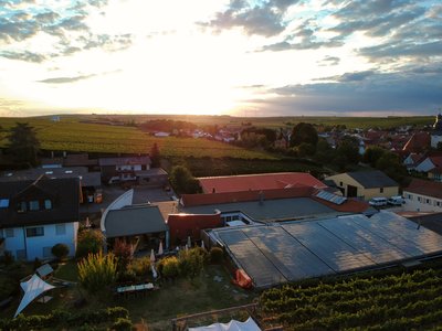 Weingut Jean Buscher