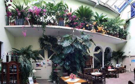 Hochzeitslocation Weingut Pfleger