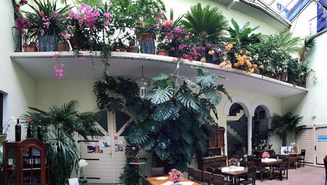 Hochzeitslocation Weingut Pfleger