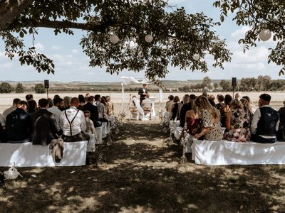 Weingut Vogt-Fehlinger