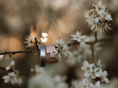 with love Fotografie