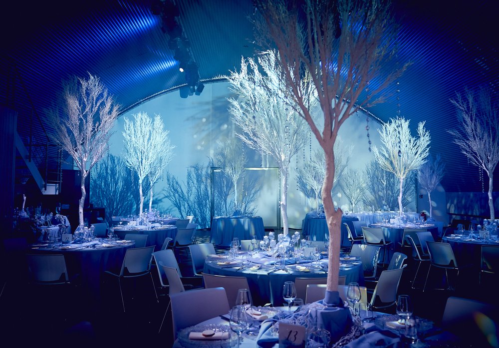 Vorbereiteter Hochzeitsraum mit Lichtgestaltung und architektonischer Tiefe