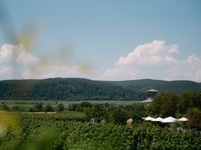 Weinhaus Motzenbäcker