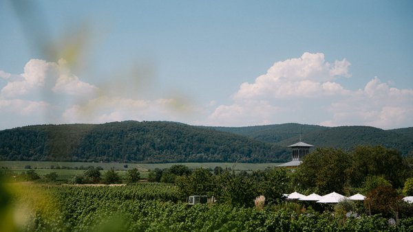 Hochzeitslocation Weinhaus Motzenbäcker